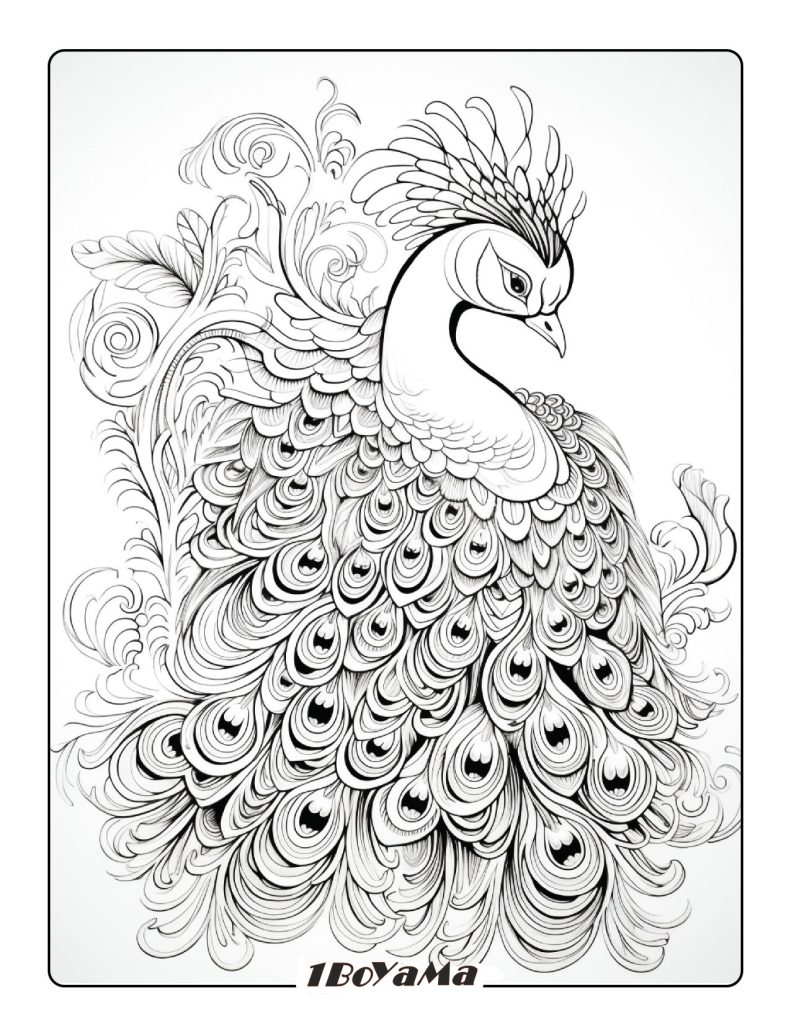 Zentangle Tavus Kuşu Boyama Sayfası